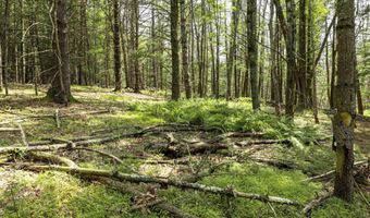 154 Lang Rd, Accord, NY 12404