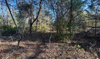 NW Lake McKenzie Rd, Altha, FL 32421