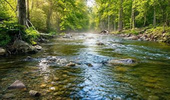 Pumpkin Patch Road, Bakersville, NC 28705