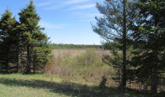 TBD US 141 Road Lukes Road, Amasa, MI 49903