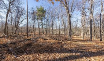 1060 BUFFALO RIDGE Rd, Augusta, WV 26704