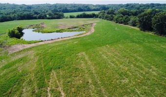 4159 NW State Route FF Hwy, Adrian, MO 64730