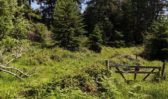 20452 Whaleshead Rd, Brookings, OR 97415