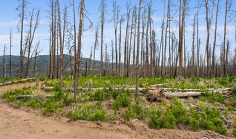 1025 Crystal Mountain Rd, Bellvue, CO 80512