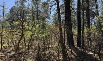156 Lake View Cir, Bayfield, CO 81122