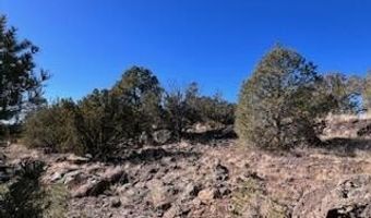 N8689 lot 002P, Concho, AZ 85924
