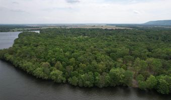 Tract 1 East Bay Road, Atkins, AR 72823