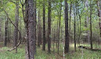 Pleasant Hill Road, Ashland, MS 38603