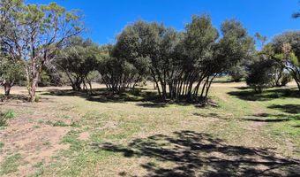 38295 Indian Rd, Anza, CA 92539