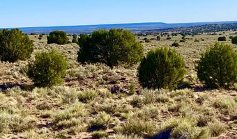 River Meadows Ranch Unit 3 Lot 204, Concho, AZ 85924