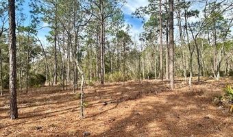US Hwy 129, Bell, FL 32619