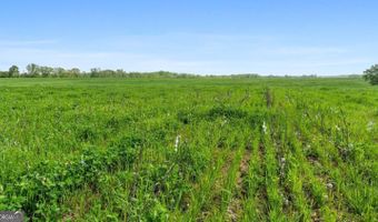 377 Acres Brent, Barnesville, GA 30204