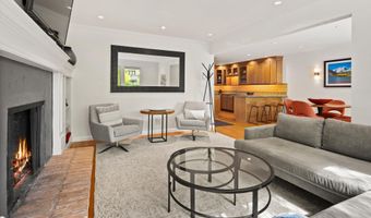 980 E Hyman Avenue 3, Aspen, CO 81611