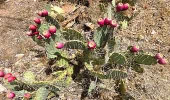 20435 E Wagon Wheel Cir, Black Canyon City, AZ 85324