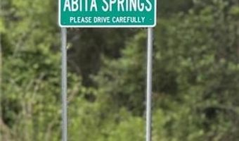 23284 BURVANT St, Abita Springs, LA 70420