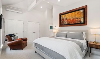 736 W Smuggler St, Aspen, CO 81611