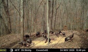 2291 Blankey Branch Rd, Beattyville, KY 41311