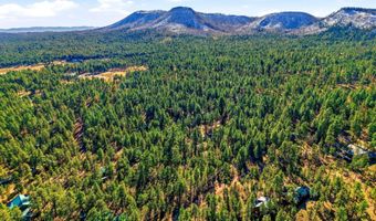 20 Co Rd 2067, Alpine, AZ 85920