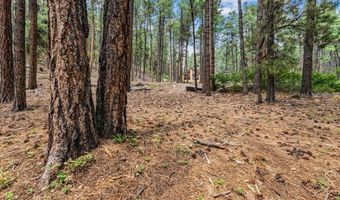 432 Blue Ridge Dr, Bayfield, CO 81122