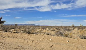 320 Acres W Brittlebush Dr, Yucca, AZ 86438