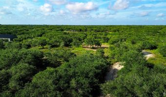 1508 W Rhodes Ave . Lot 44, Aransas Pass, TX 78336