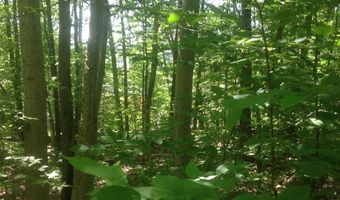 72-2 Frohock Brook Rd, Alton, NH 03810