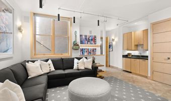 204 N Monarch St, Aspen, CO 81611