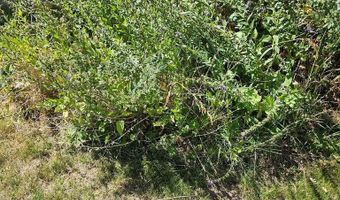 125 W 14th St, Idaho Falls, ID 83402
