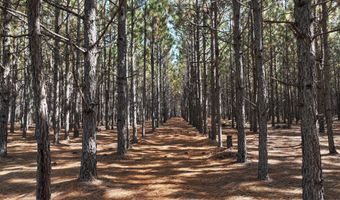 Highway 112, Abbeville, GA 31001