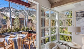 708 E Hyman Ave, Aspen, CO 81611