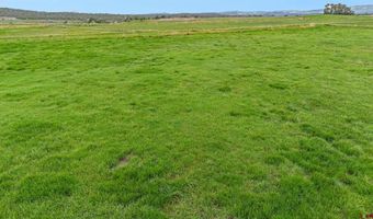 2337 County Road 516, Bayfield, CO 81122