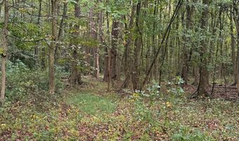 BLACK SWAMP ROAD, Felton, DE 19943