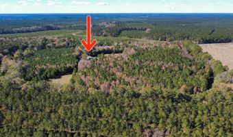 3264 Ten Acre Rd, Andrews, SC 29510