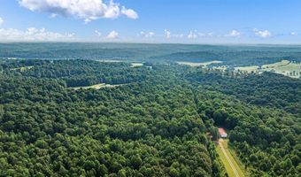 0 Reels Rd, Adolphus, KY 42120