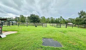 1350 RED COLT Ct, Astor, FL 32102