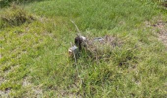 17191 Frank Rd Lot 1, Alva, FL 33920