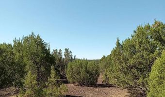 9 County Road 3036, Concho, AZ 85924