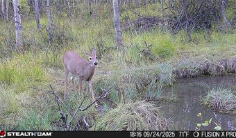 Tract A, Anaconda, MT 59711