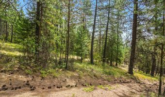 NNA USFS 2550 40 acres, Blanchard, ID 83804