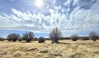 8495 W Antelope Run Rd, Ash Fork, AZ 86320