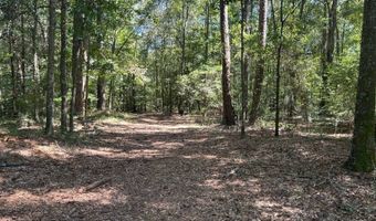 4496 State Hwy 130, Banks, AL 36005