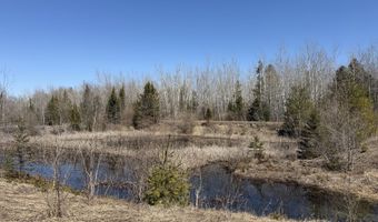 139 AC Witt Rd, Alpena, MI 49707