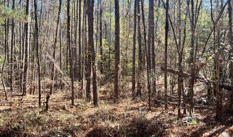 Chief Rd, Abbeville, AL 36310