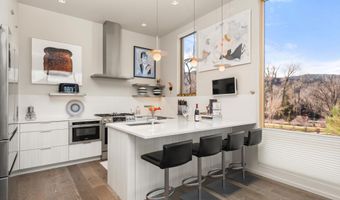 103 Willits Way 204, Basalt, CO 81621