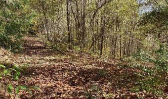 N Fork River Road, Abingdon, VA 24210