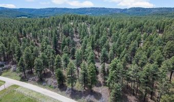 135 Meadow Ln, Bayfield, CO 81122