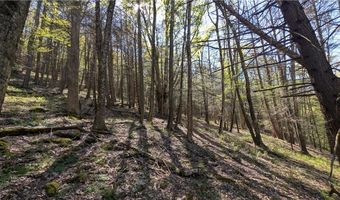 East River Road lot 5, Andes, NY 13731