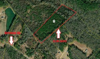 1 Stevenson Rd, Cope, SC 29038