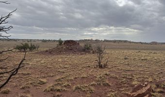 Tbd N 9326, Concho, AZ 85924
