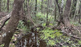 North 5 Ac Keyser Mill Road, Baker, FL 32531
